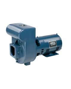 Pentair Pump Centrifugal D-Series 3HP 3PH mH 230/460V 2" Discharge Port Size