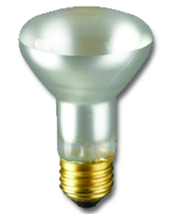 Light Bulb 100W 12V Med Base Reflector Flood R-20