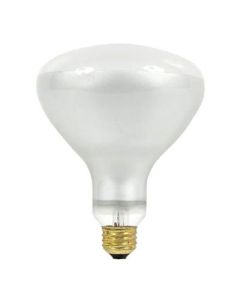 Light Bulb 300W 120V Med Base Flood R-40