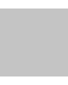Patio Tones Paint 1 gal Mystic Grey (Light Grey)