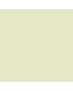 Patio Tones Paint 1 gal. Warm Biscuit (Beige)